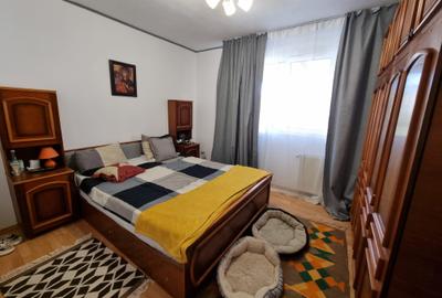 Vila individuala, 9 camere, mutare imediata, zona Soseaua Oltenitei - 7