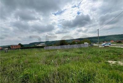 Teren de 500 mp, în Betfia - 2