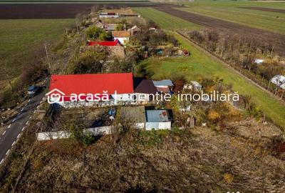 Casă cu 4 camere cu Canalizare în Variașu Mare - 10