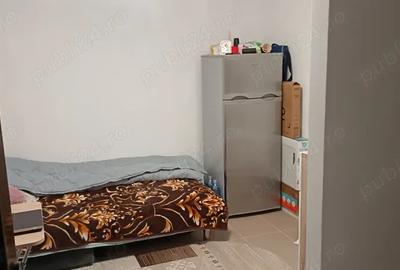 OCAZIE! BI 2018 str. Pepinierei 1 Cam-10mp cu baie, mob-utilat - 4