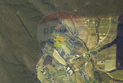 Teren 4,610mp Mitocu Dragomirnei - 2