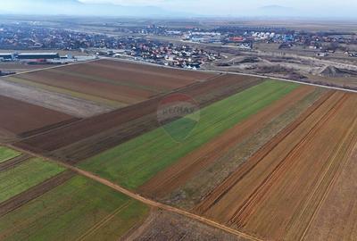 Teren agricol extravilan de 14600 mp, în Tărlungeni - 7