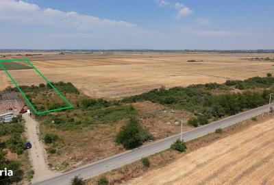 Teren de 7500 mp, în Clinceni - 4