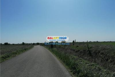 Teren Construcții intravilan de 7900 mp, în Corbeanca - 1