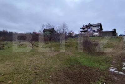 Teren de 2600 mp, în Strugurilor - 2