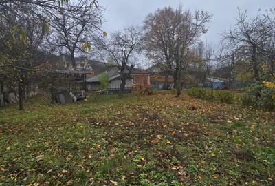 Teren Construcții intravilan de 500 mp, în Tomești - 6