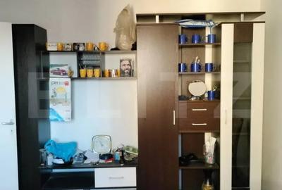 Apartament cu 2 camere semidecomandat, mobilat în Mureșeni - 3