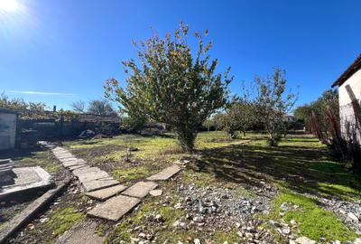 COMISION 0% - Casa 4 Camere Dulcesti – 834mp Teren - 5