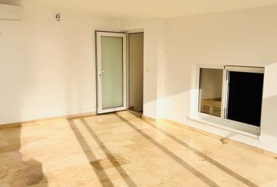 Inchiriere apartament duplex - spatiu reprezentativ ultracentral, Parc Primarie - 1