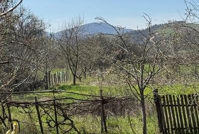 Casă de vânzare în Agrij - 6