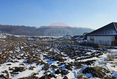 Teren Construcții intravilan de 2200 mp, în Periferie - 1