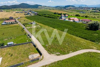 Teren pretabil constructie rezidentiala – Sanpetru - 11