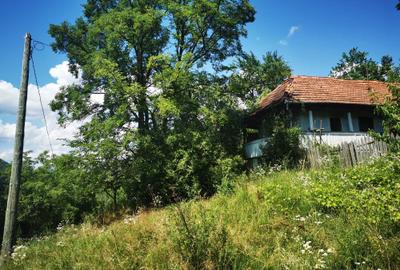 Teren de 42500 mp, în Barbura - 2