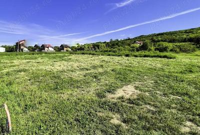 Teren intravilan Vranesti , Calinesti Arges - 3