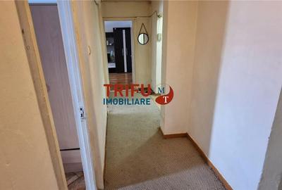 Apartament cu 3 camere decomandat în Cetate - 8