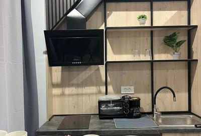 De închiriat Studio, Parter /terasă, Primăriei, Oradea. - 4