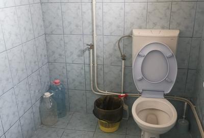 Casa batraneasca Aninoasa/ Arges, teren 1.200 mp - 16