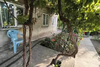 Casă cu 4 camere în Eforie - 3