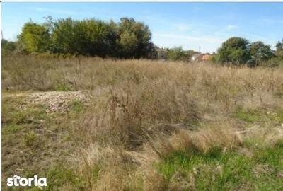 Teren de 613 mp, în Brânceni - 9