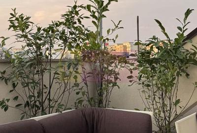 Apartament cu 3 camere semidecomandat, mobilat în Vitan - 2