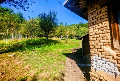 CASA si 2393 mp TEREN INTRAVILAN, Muntii Apuseni, NEGRENI - CLUJ la 1 km de E60 - 30