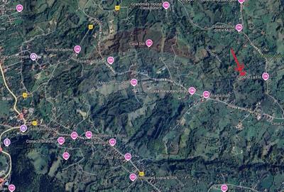 Comision 0% | Teren intravilan 3000 mp| Sohodol | Priveli... - 1