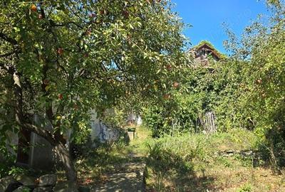 Casă cu 5 camere în Aluniș - 6