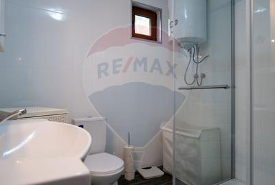 Vanzare vila, Stefesti-Prahova - 13