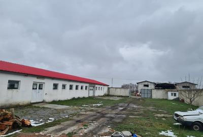 Oportunitate Unica: Teren Intravilan cu Hală de productie și Casă Modernă - 3