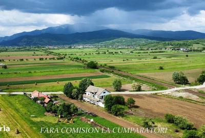 Casă cu 4 camere în Jiblea Nouă - 6