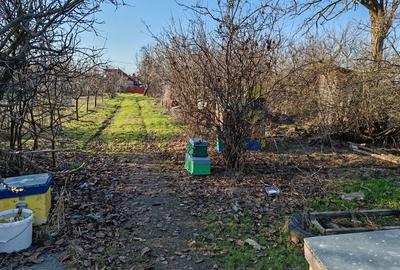Casă cu 3 camere în Central - 1