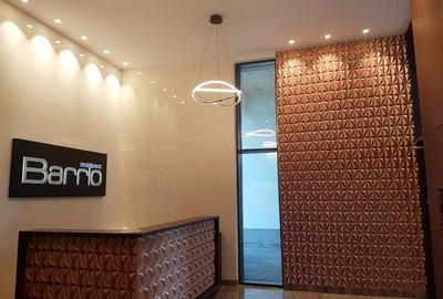 Apartament Premium de 3 Camere, 100mp utili, zona Kiseleff - 10