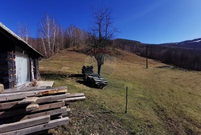 Teren Construcții intravilan de 10100 mp, în Munteni - 10
