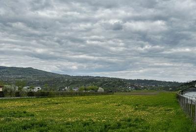 Teren de 4000 mp, în Oituz - 4