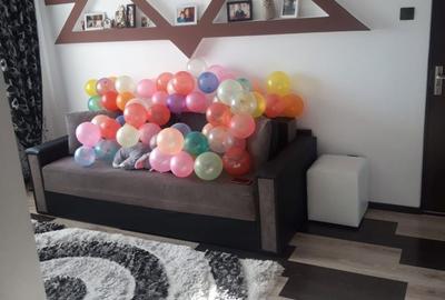 Apartament cu 2 camere semidecomandat în Roșia - 5