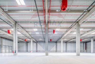 Spațiu industrial, de 15,000 mp, în Lețcani - 1
