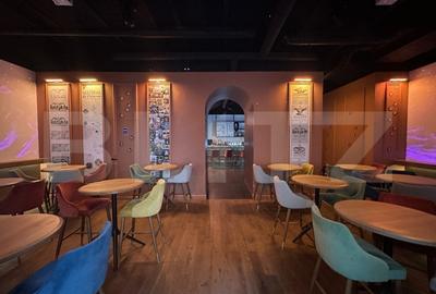 Spatiu Premium - Club/Pub la Cheie, Ultracentral - 2