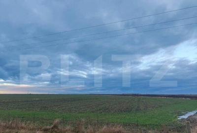 Teren de 390000 mp, în Central