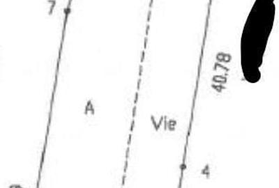 Casă cu 3 camere cu Teren 3487 Mp în Tănăsoaia - 9