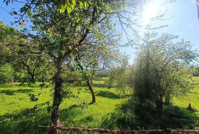 Descopera casu?a ta de vis la poalele Mun?ilor Apuseni - 18