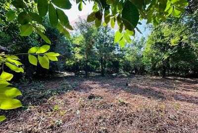 Teren intravilan 1500mp in Livedea, Ialomita - 1