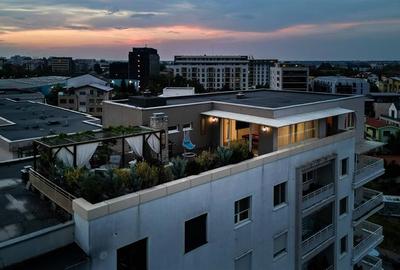 Penthouse cu 4 camere semidecomandat, mobilat în Aviației - 39