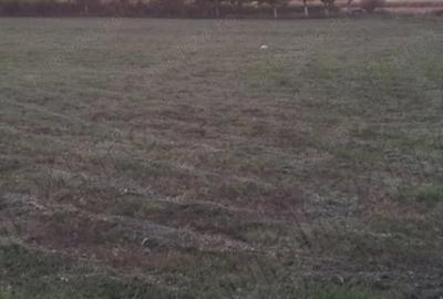 Spațiu comercial, în Cărpiniș - 11