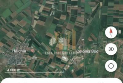 Teren de 14450 mp, în Feldioara - 4