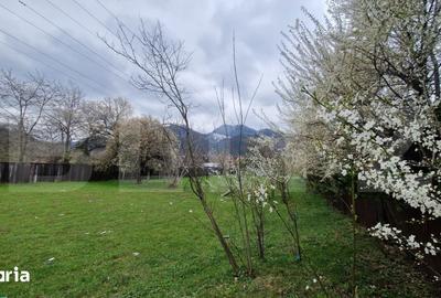 Teren de 4300 mp, în Baciu - 2