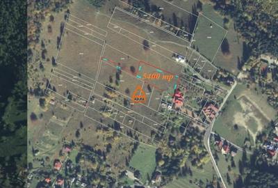 Teren Construcții intravilan de 5400 mp, în Ceahlău - 2