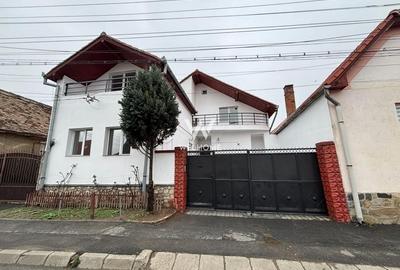 Casa cu POTENȚIAL pentru afaceri, DEPOZIT 50mp - Turnisor - 1