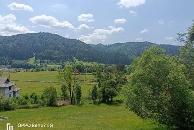 Cabana de vanzare in Lunca Bradului - 14