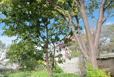 TEREN CENTRAL | 605 MP | DESCHIDERE 17 - 3