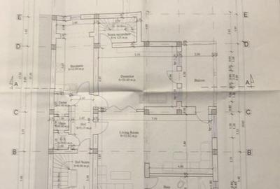 Cotroceni Arenele BNR Mihail Mirinescu Vila pentru birou sau rezidenta - 5